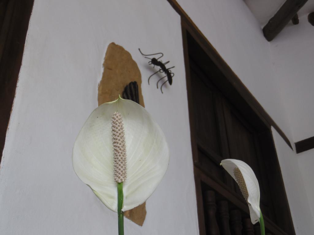 Hostal Santa Monica Barichara Exterior foto